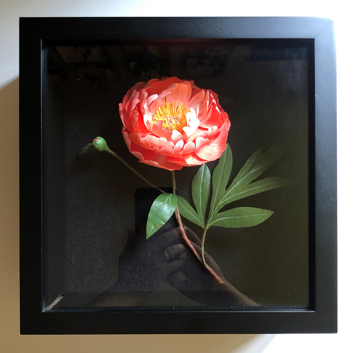 Peony- Coral Charm