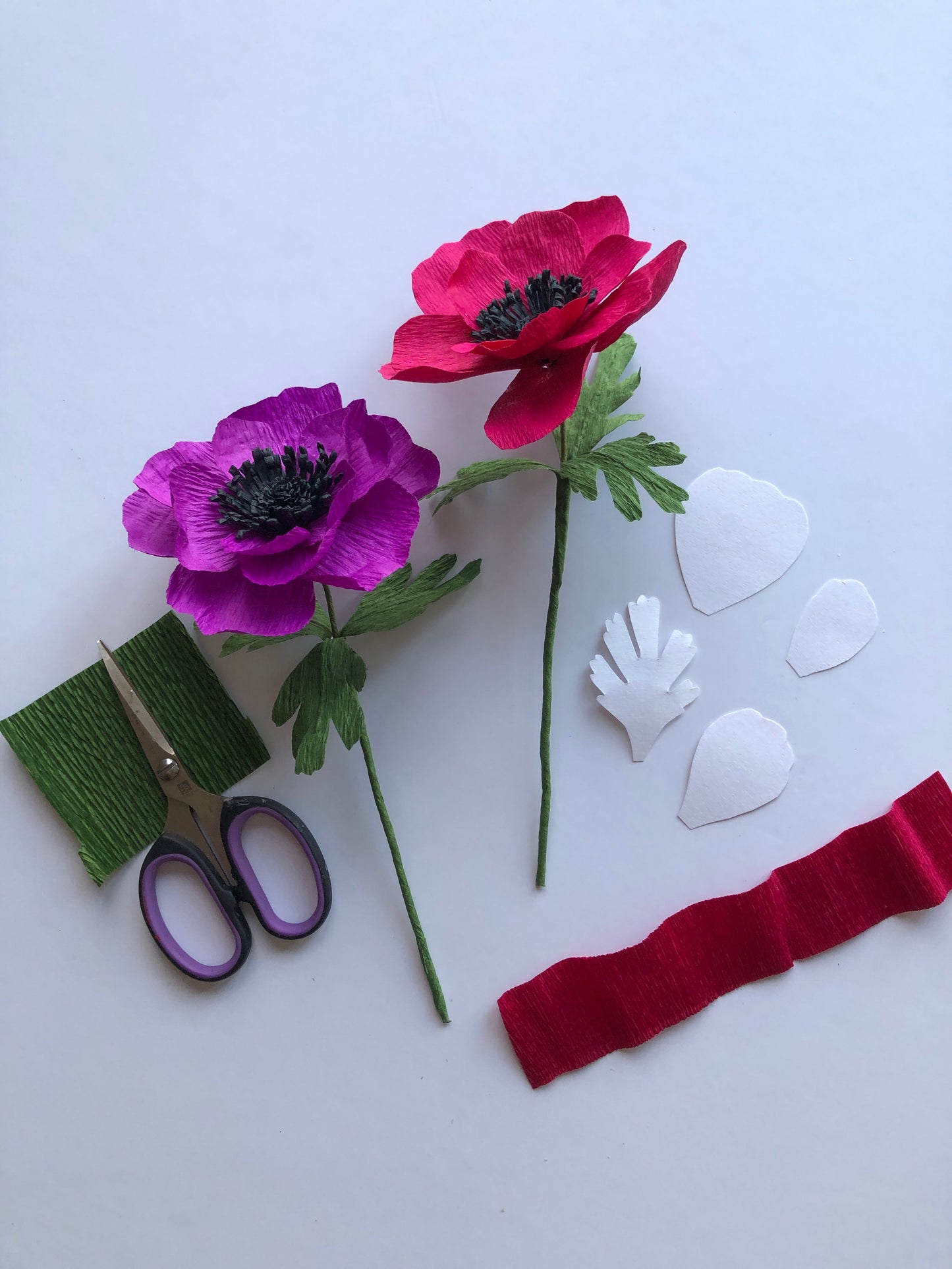 Paper Anemone Workshop