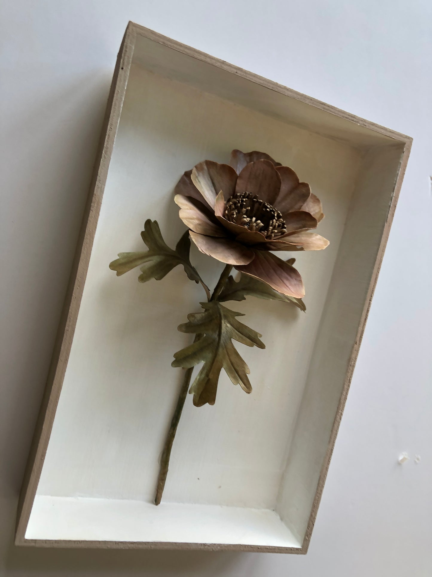 Antique Anemone