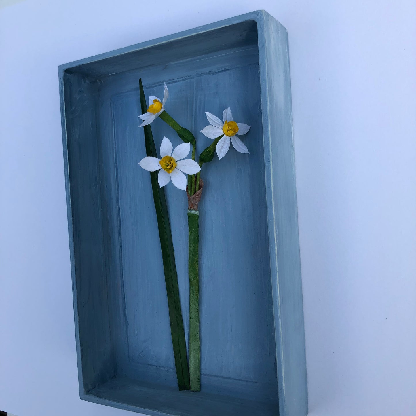 Daffodil